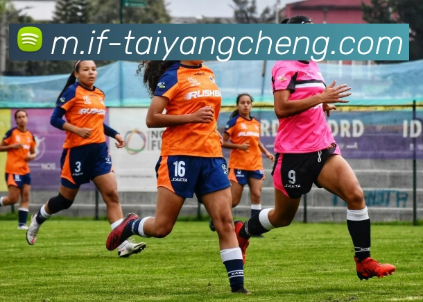 太阳城网站发展历程